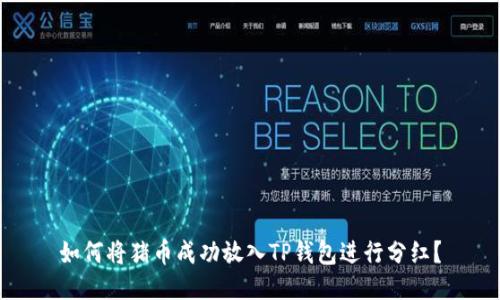 如何将猪币成功放入TP钱包进行分红？