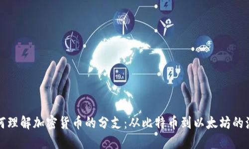 如何理解加密货币的分支：从比特币到以太坊的演变