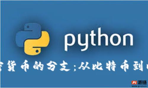 如何理解加密货币的分支：从比特币到以太坊的演变