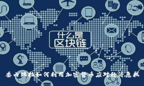 委内瑞拉如何利用加密货币应对经济危机