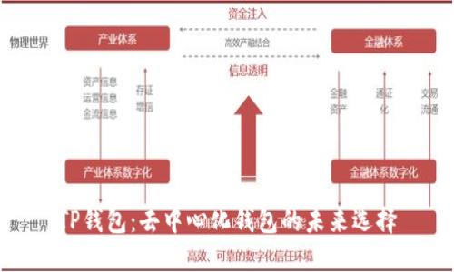 TP钱包：去中心化钱包的未来选择