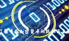 深入了解中国加密货币的