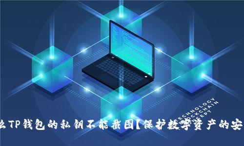 为什么TP钱包的私钥不能截图？保护数字资产的安全之道