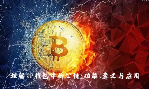 理解TP钱包中的公链：功能、意义与应用