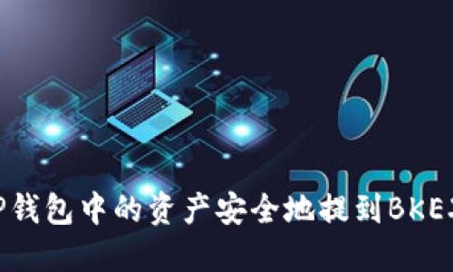 如何将TP钱包中的资产安全地提到BKEX交易所？