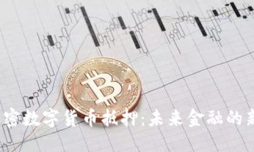 悲妒
   加密数字货币抵押：未来金融的新机遇
