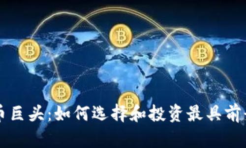 数字加密货币巨头：如何选择和投资最具前景的数字货币