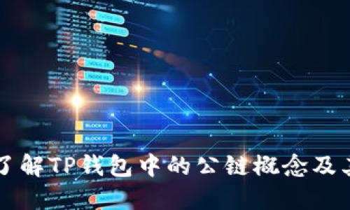 深入了解TP钱包中的公链概念及其应用