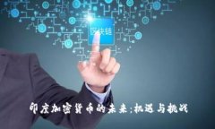 印度加密货币的未来：机