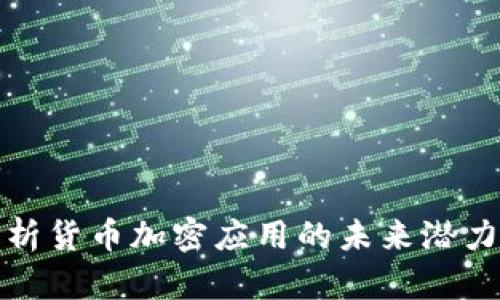 全面解析货币加密应用的未来潜力与挑战