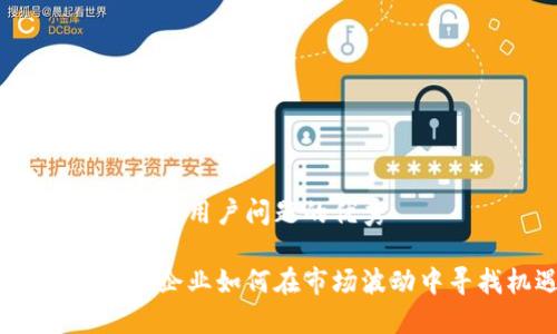 思考一个能解决用户问题的优秀

加密货币初创企业如何在市场波动中寻找机遇？