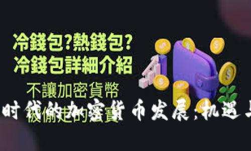  阳春时代的加密货币发展：机遇与挑战