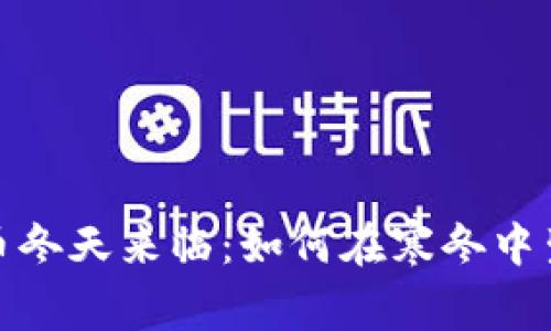 : 加密货币冬天来临：如何在寒冬中生存与发展