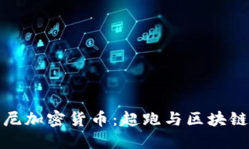 探索兰博基尼加密货币：超跑与区块链的未来交汇