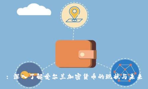: 深入了解爱尔兰加密货币的现状与未来