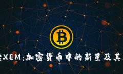 全面解读XEM：加密货币中