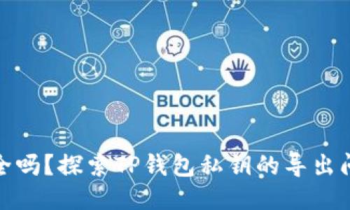 安全吗？探索TP钱包私钥的导出问题