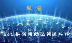 şıaoti如何用助记词进入