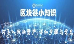 TP钱包如何导入我的资产：