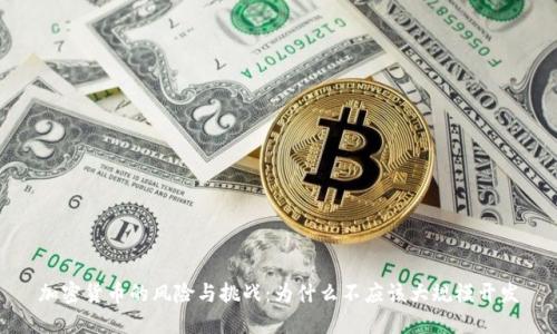加密货币的风险与挑战：为什么不应该大规模开发