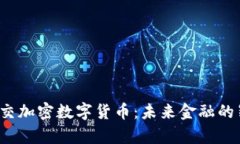  探索社交加密数字货币：