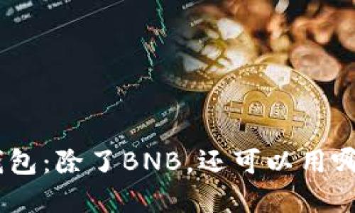 biao tit p钱包：除了BNB，还可以用哪些方式买币？