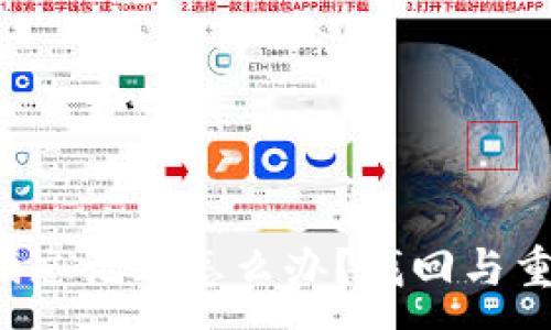 :
TP钱包支付密码忘记了怎么办？找回与重置密码全攻略！