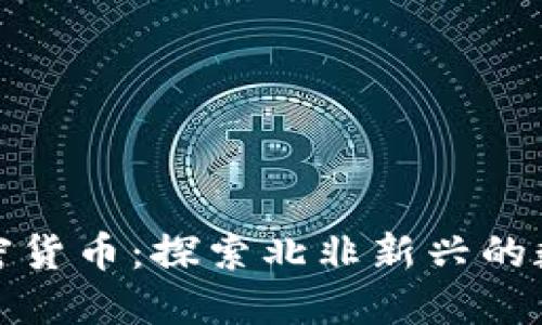 埃及加密货币：探索北非新兴的数字经济