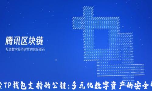 
探索TP钱包支持的公链：多元化数字资产的安全管理