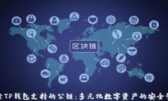 探索TP钱包支持的公链：多