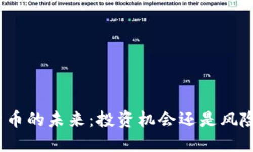 加密货币的未来：投资机会还是风险挑战？