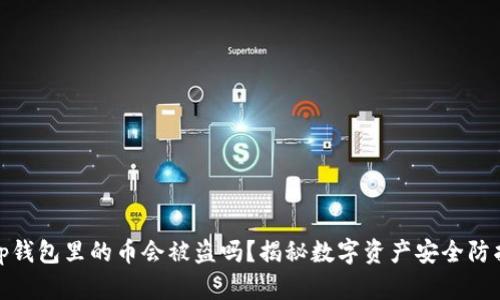 tp钱包里的币会被盗吗？揭秘数字资产安全防护
