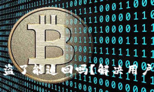 TP钱包上的币被盗了能追回吗？解决用户问题的全面指南