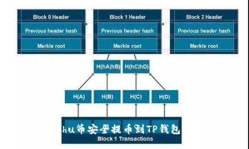 如何将Kishu币安全提币到TP钱包的完整指南