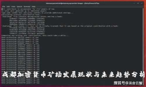 成都加密货币矿场发展现状与未来趋势分析