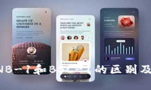 TP钱包BNB-1和BSC-1的区别及使用指南