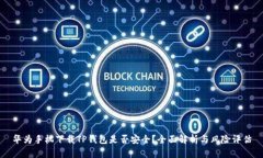 华为手机下载TP钱包是否安全？全面解析与风险评