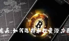 与关键词加密货币股票龙头：如何选择和投资潜