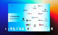 t p钱包公钥是什么？全面