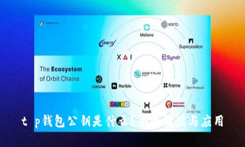 t p钱包公钥是什么？全面解读与应用