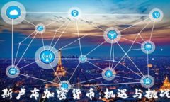 俄罗斯卢布加密货币：机遇与挑战分析