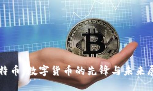 比特币：数字货币的先锋与未来展望