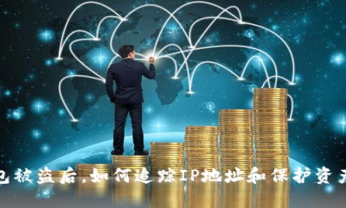 TP钱包被盗后，如何追踪IP地址和保护资产安全