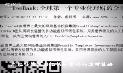 忘记TP钱包助记词和密码的应对策略