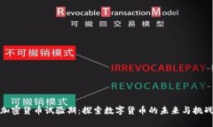 加密货币试验期：探索数