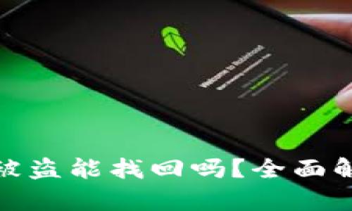 : TP钱包资产被盗能找回吗？全面解析与解决方案