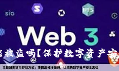个人TP钱包币能被盗吗？保护数字资产安全的全方位指南