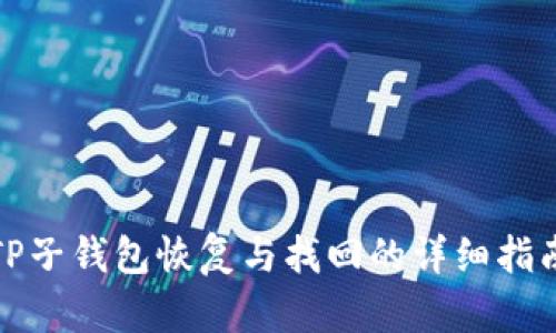 TP子钱包恢复与找回的详细指南