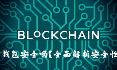 百度下载TP钱包安全吗？全面解析安全性与用户指南