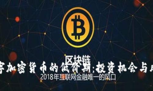 探索数字加密货币的低价期：投资机会与风险分析